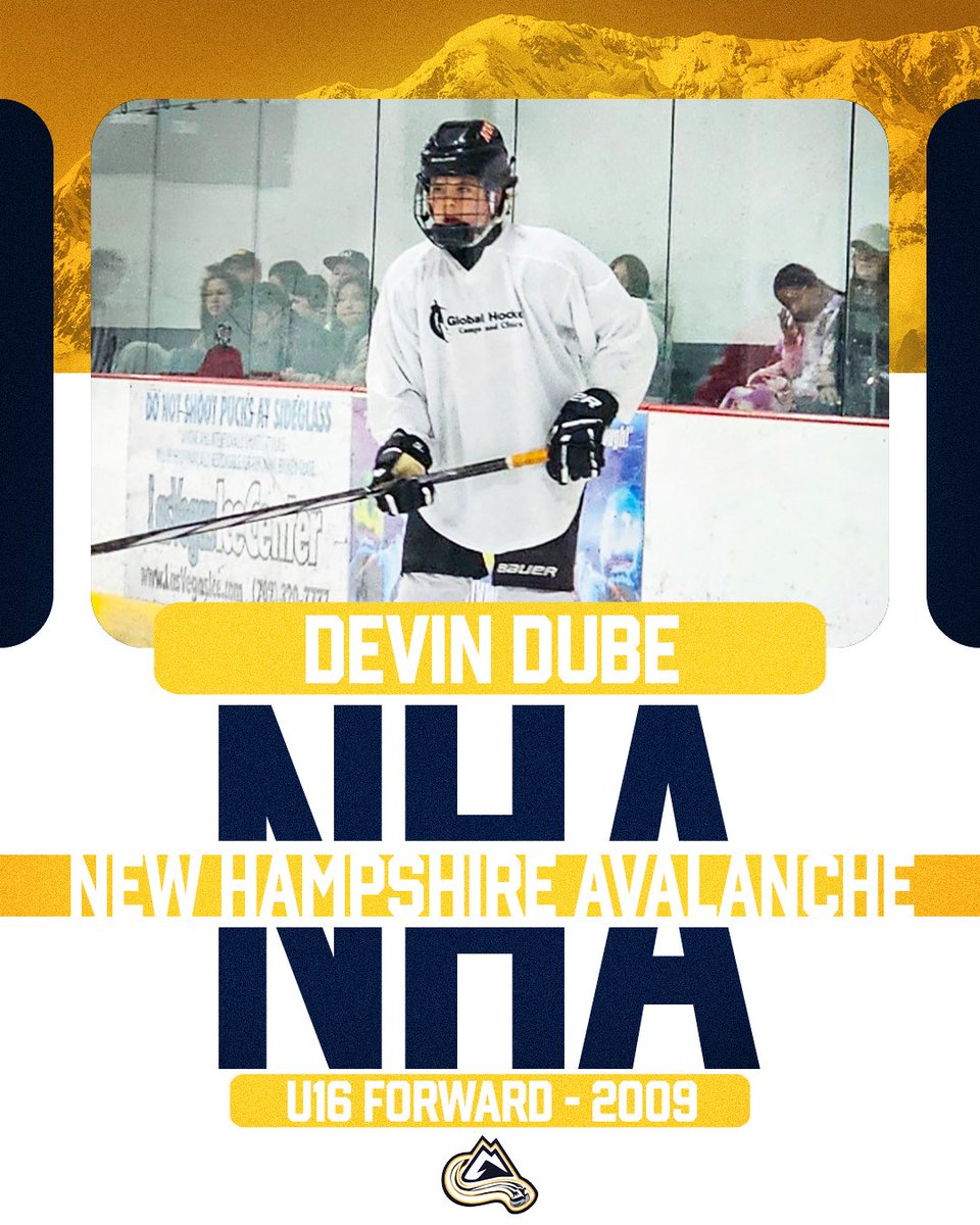 New Hampshire Avalanche tweet media