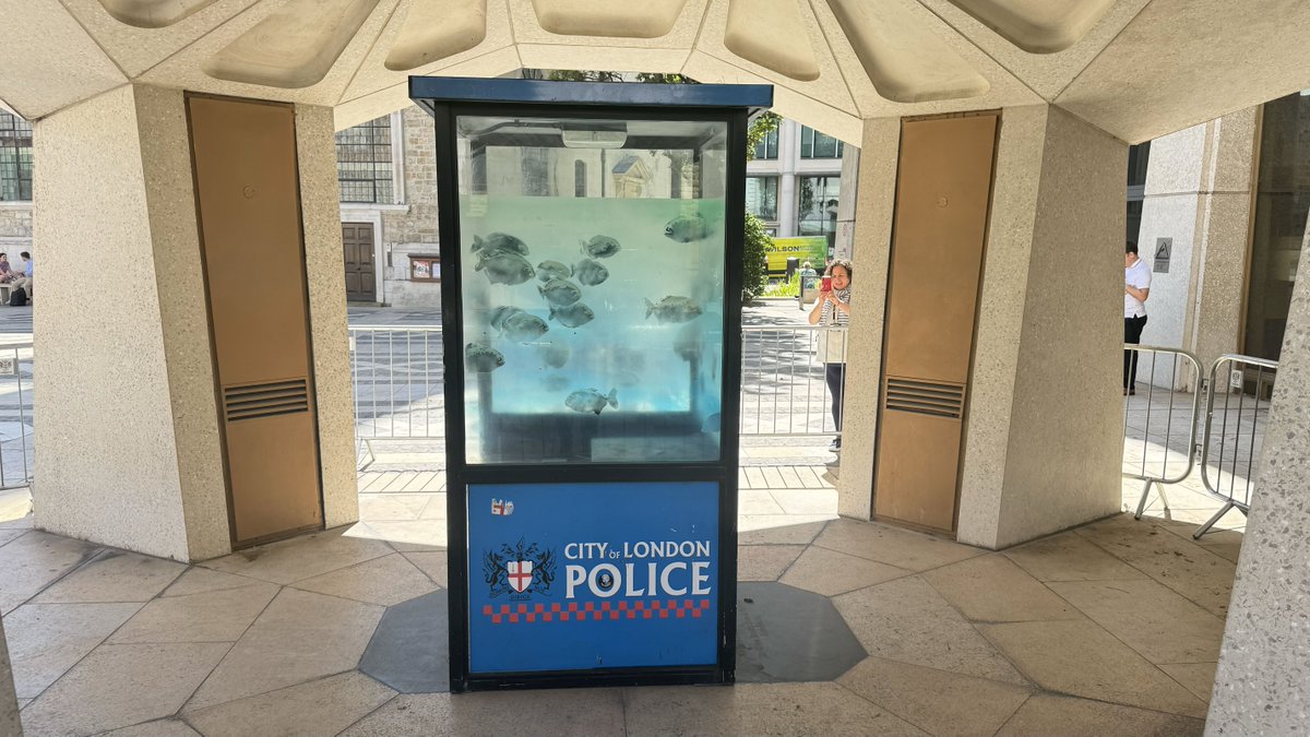 Lots of people viewing the #Banksy artwork at its new temporary home in #GuildhallYard. Our colleagues carefully moved the piece here last night. It's now secure and can be viewed safely. A permanent home will be announced in due course. #DestinationCity <a href="/CityPolice/">City of London Police</a>