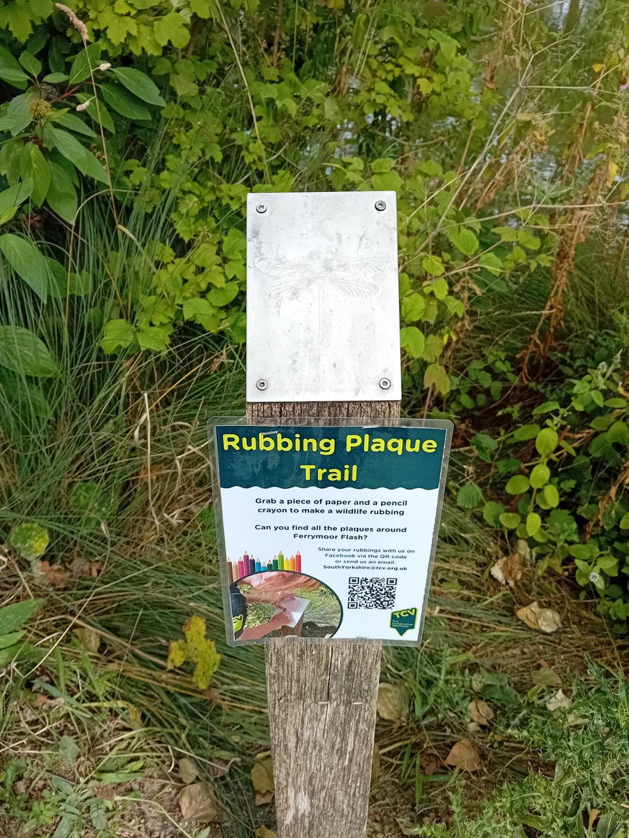 South Yorkshire Community Woodlands tweet media