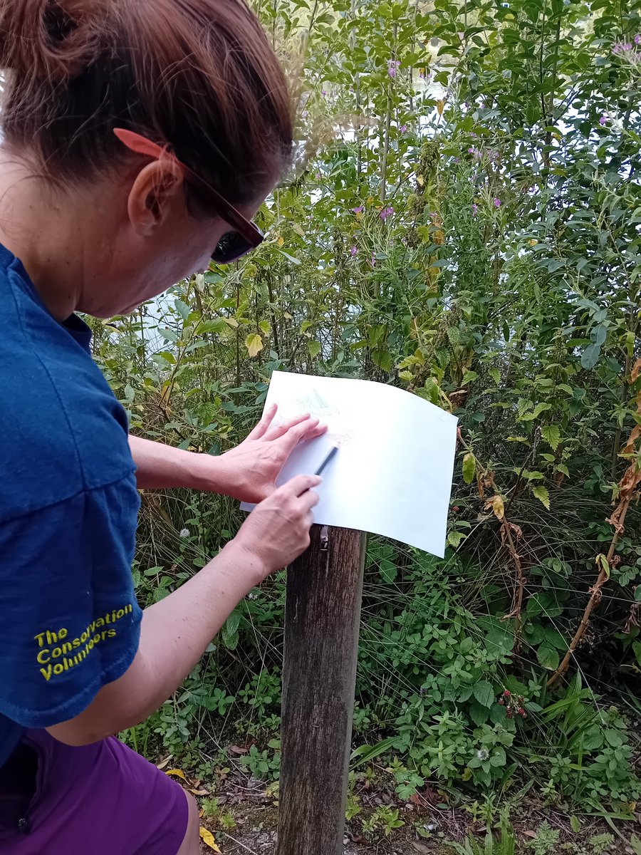 South Yorkshire Community Woodlands tweet media