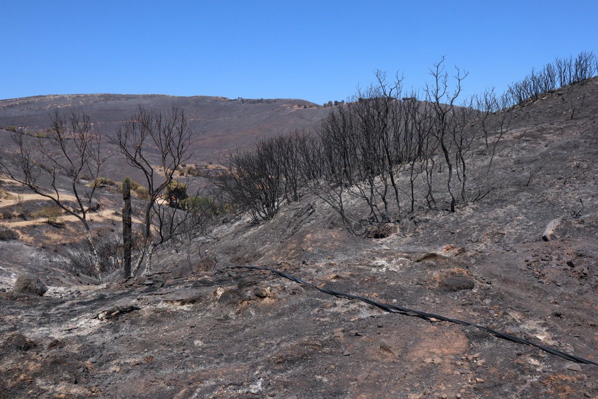 Rich Booth tweet media