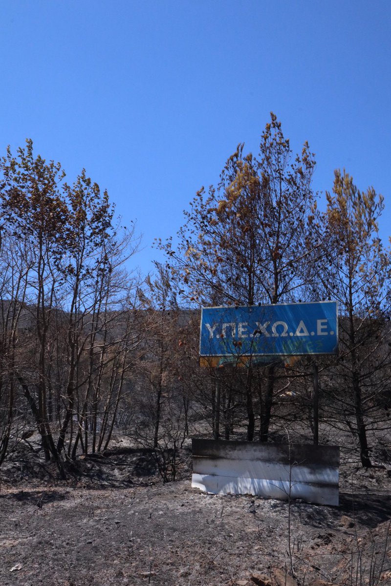 Rich Booth tweet media