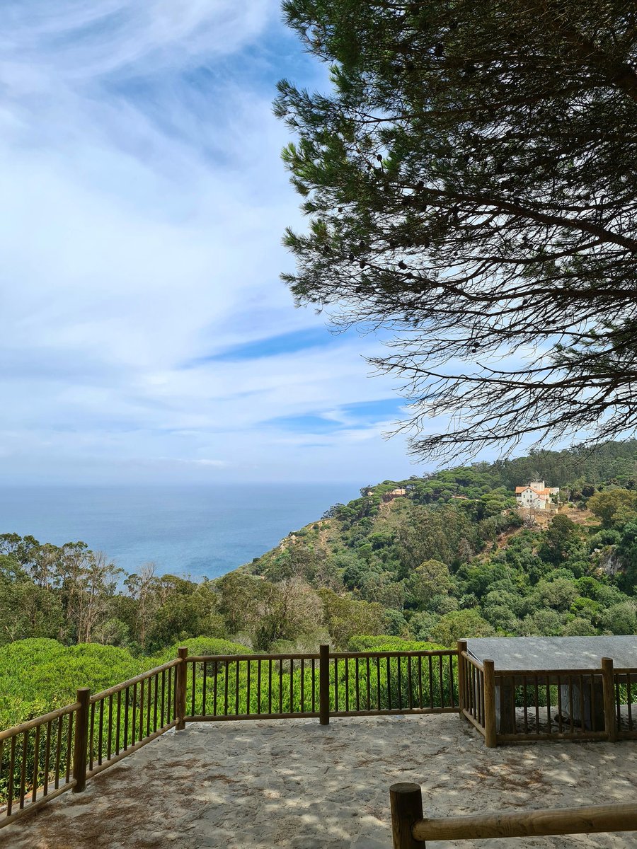 Redouan (@resherra) on Twitter photo 