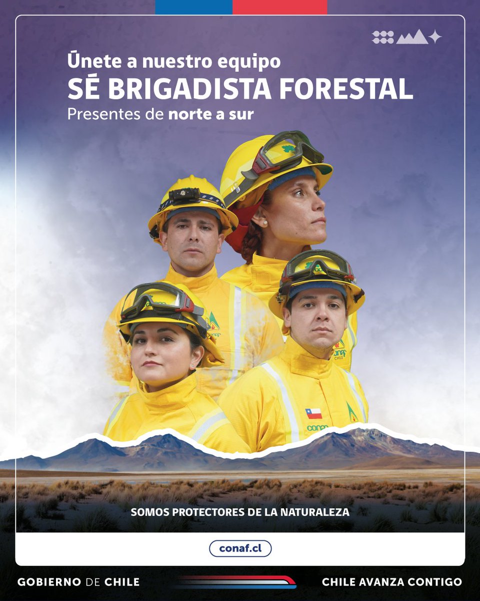 conaf_minagri's tweet photo. ¡Únete a nuestro equipo, sé brigadista forestal!🤝

Iniciamos el proceso de inscripción para trabajar como brigadista de #CONAF durante el período de mayor ocurrencia de incendios, correspondiente a la temporada 2024-2025.

👉 Podrán postular todas las personas mayores de edad que tengan condición física compatible con una labor de alta exigencia.

👩‍💻🧑🏻‍💻 Infórmate sobre cómo postular según tu región y los requisitos del proceso en https://t.co/1NC8zRARub