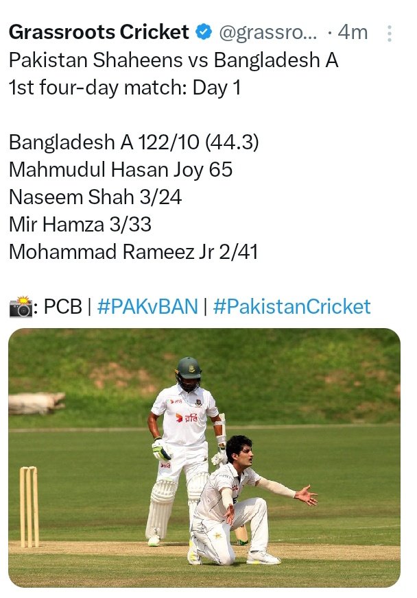 mehmal tweet media
