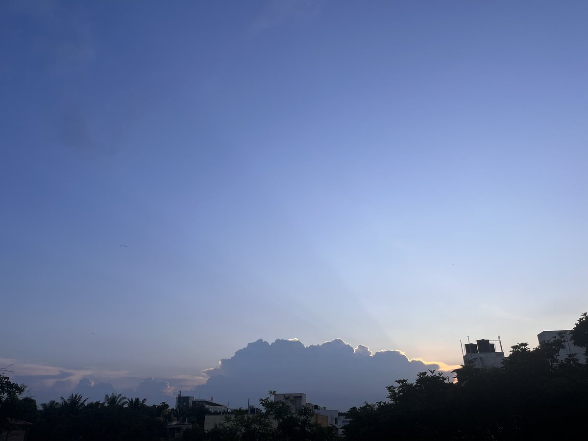 Honey, I’m home 🦩😶‍🌫️