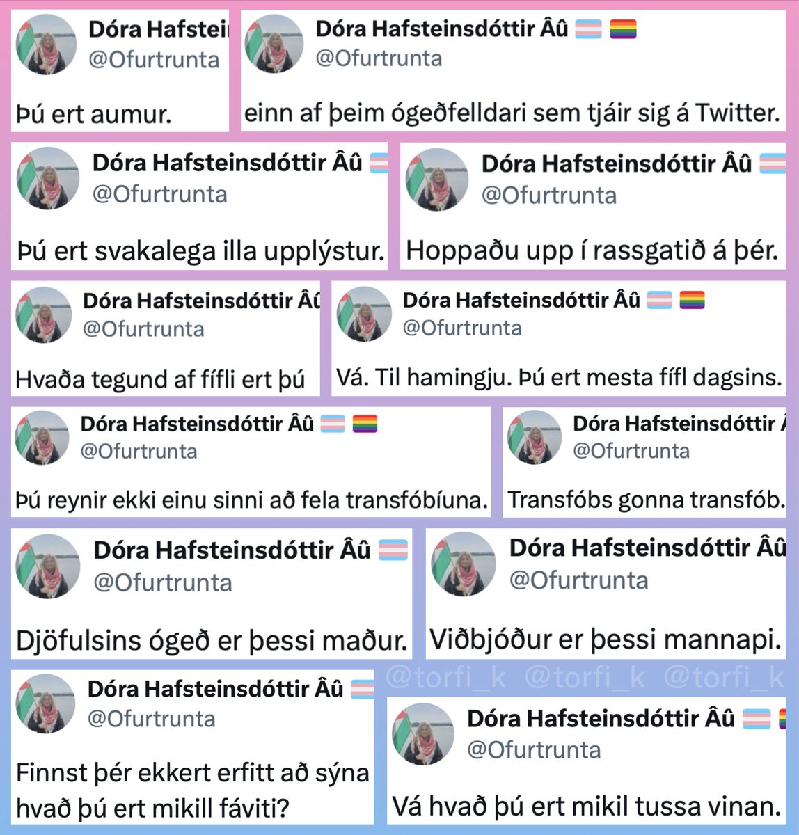 Torfi K. 🕊️ (@torfi_k) on Twitter photo 