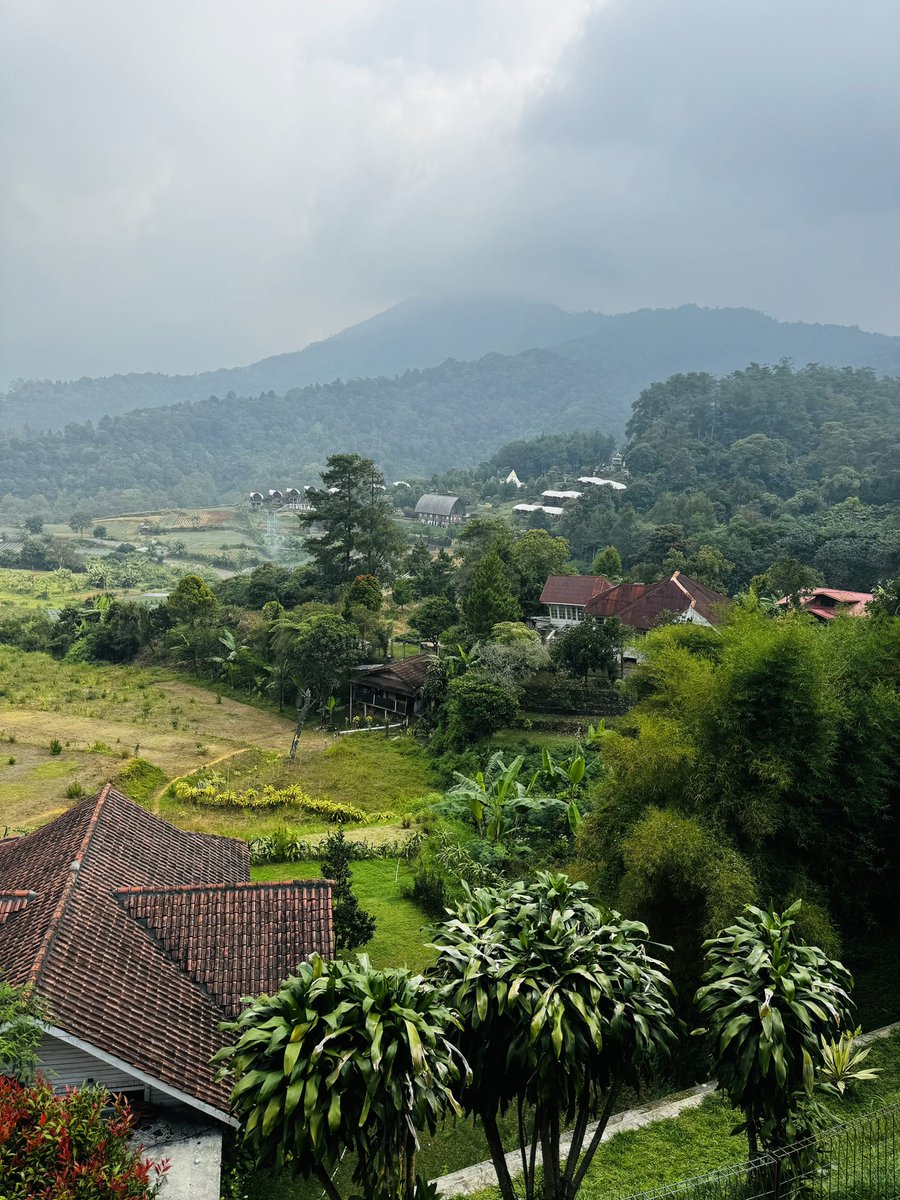 BanderJ's tweet image. صديق الرحلة
#رابطة_عشاق_العطور