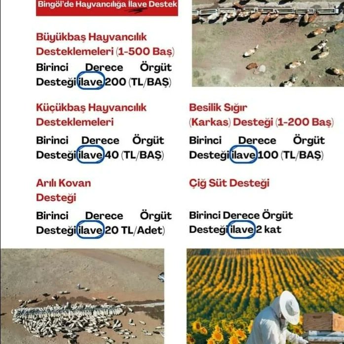 bingol_c's tweet photo. Birligimiz;Türkiye genelindeki 10.875 tarımsal örgütten 103 tarımsal örgüt 1.Derece Tarımsal Örgüt Belgesi almaya hak kazandı. Tüm üyelerimize hayırlı uğurlu olsun. Bingöl ili Arı yetiştiricileri Birliği Bşk M.Ali ABA https://t.co/h0IQSFq5YF