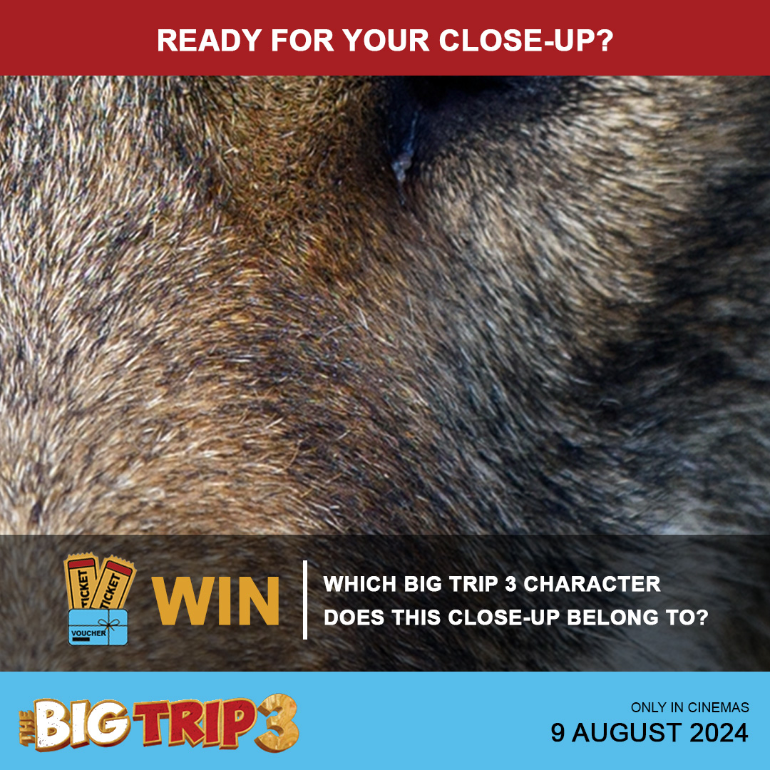 FilmfinityZA's tweet photo. WIN! How well do you know The Big Trip 3’s characters?
Comment below which character you think this close-up belongs to and you could WIN 2 tickets!
Now in cinemas. Find a cinema: https://t.co/gCV0JO2fSG
#TheBigTrip3RaceAroundTheWorld #Filmfinity #quiz #movie https://t.co/ScRKuOimvo