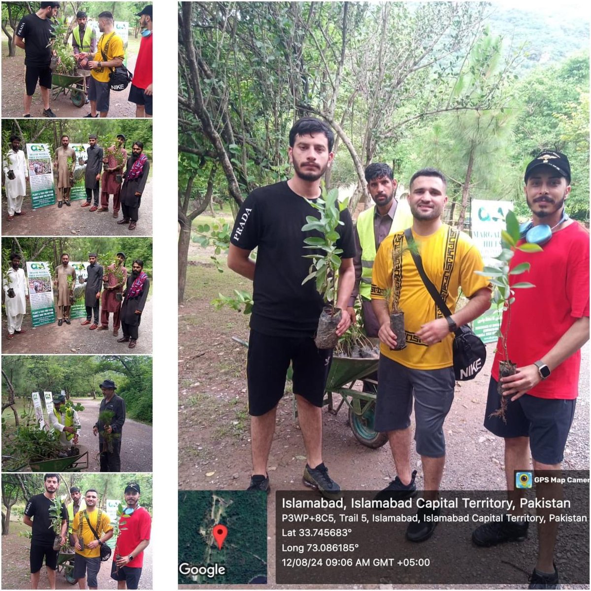 ccislamabad's tweet image. Beautifying Islamabad! Plant Distribution Among Public From Derajangla Nursery #SelfieWithATree