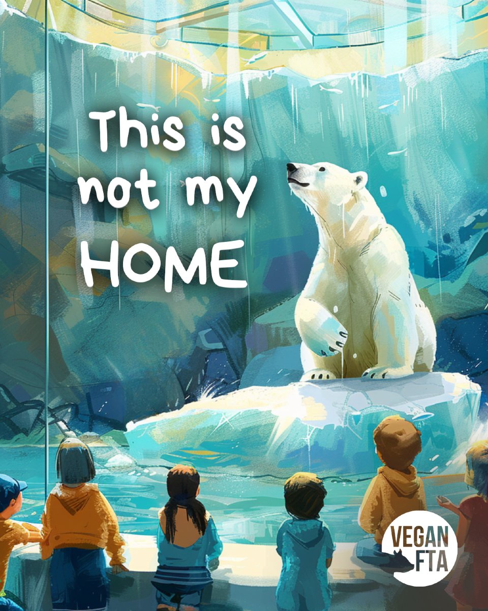 Vegan FTA tweet media