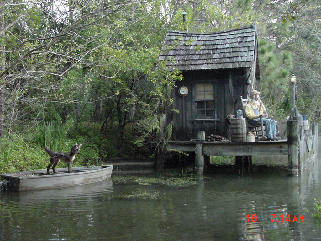 WFDaveEnsign's tweet photo. Somebody with more time on their hands should run with this. ****SAVE ALLIGATOR SWAMP, BEACON JOE, AND RUFUS***** Here are some picture for you to use. Get busy. https://t.co/UFXsLrF66P