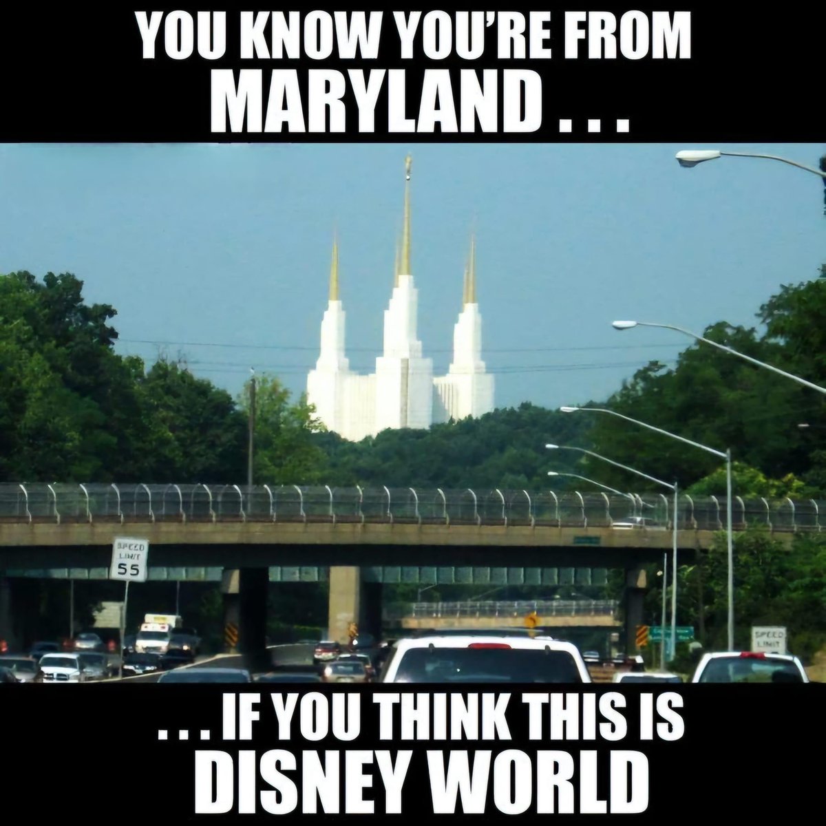 “We’re going to DisneyWorld!”