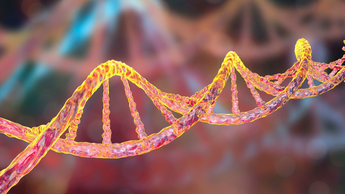 #Casgevy from CRISPR Therapeutics (<a href="/CRISPRTX/">CRISPR Therapeutics</a>) becomes the first therapy that uses CRISPR gene editing to be offered on the NHS for the treatment of beta thalassemia, eliminating the need for lifelong blood transfusions.

Read more: bbc.co.uk/news/articles/…