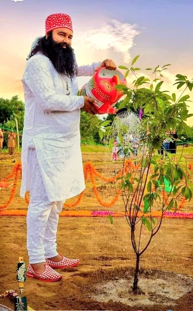 KanikaInGrace's tweet photo. Tree plantation is such a noble deed... because it is the need of our nature..🌎 
Tomorrow, Dera Sacha Sauda disciples will conduct a #MegaTreePlantationDrive on the occasion of pious #MSGBhandara at 7 AM with the inspiration of #SaintDrMSG Insan Ji 🙏🏻 https://t.co/5PEhfsVaxn