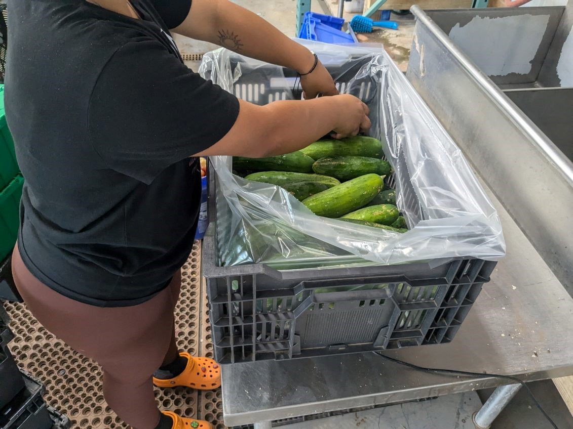 Manna Food Center tweet media