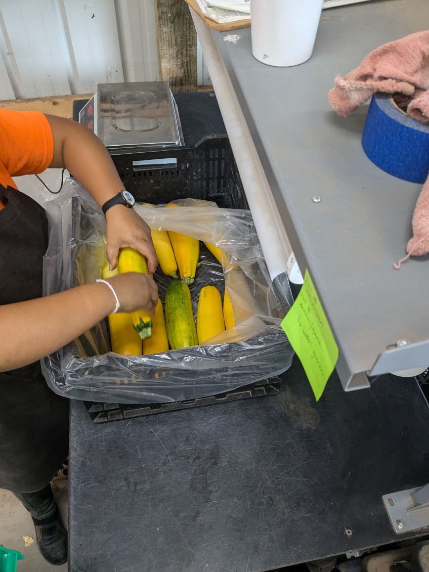 Manna Food Center tweet media