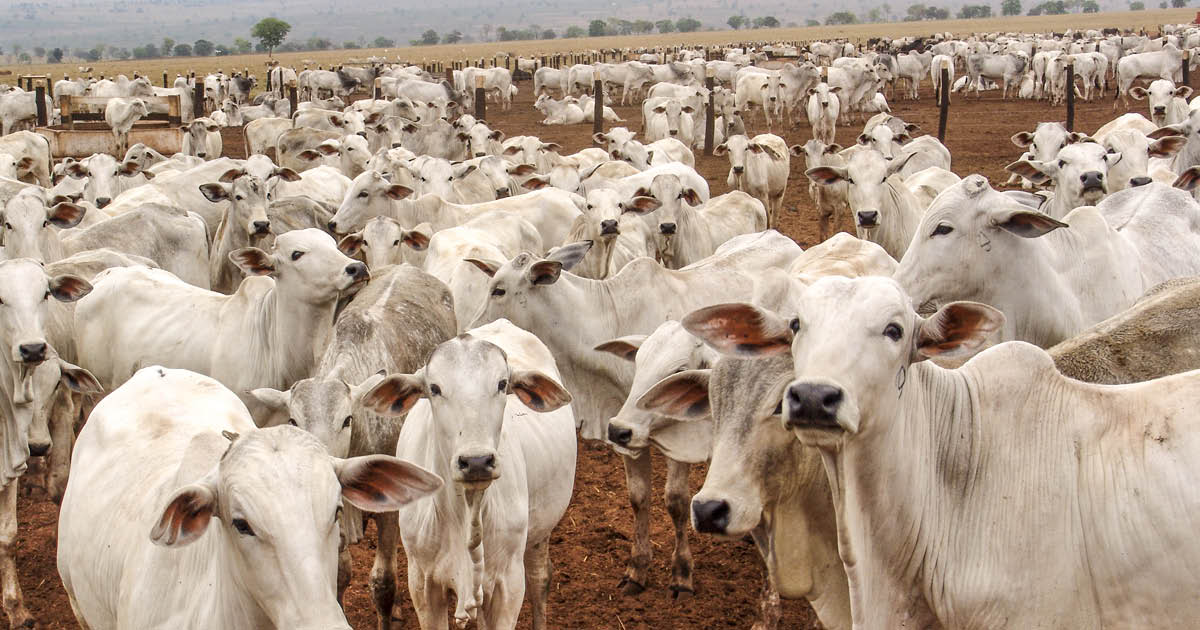 The climate impact of feeding ourselves is getting worse and worse

- If we want to reduce the greenhouse gas emissions from #food production, we have to make it more efficient as the global population grows – and that isn't happening

loom.ly/jk3qKGo

#climatechange