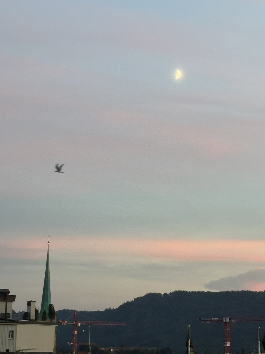 lovevolv's tweet image. #lovolution #SunRadio rare daytime set this week on the #endlosounds #festival
theme: all ladies 

15 august thursday afternoon 1-4pm local #zürich time/ 7-10am eastern endlos.lora.ch/lovolution/ #broadcast at 97.5fm #stream at lora.ch @lora_radio