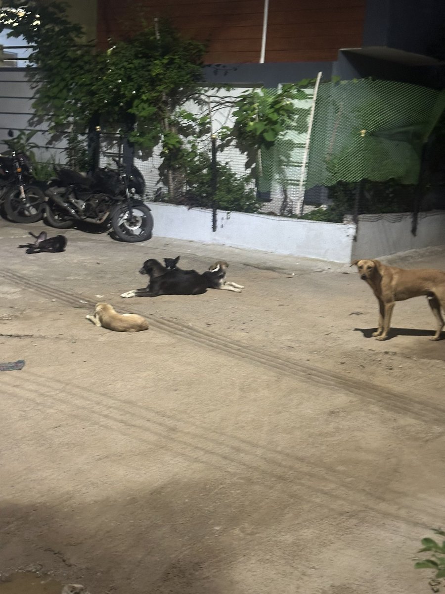 Dr Nash Ph.D, P.E, S.E tweet media