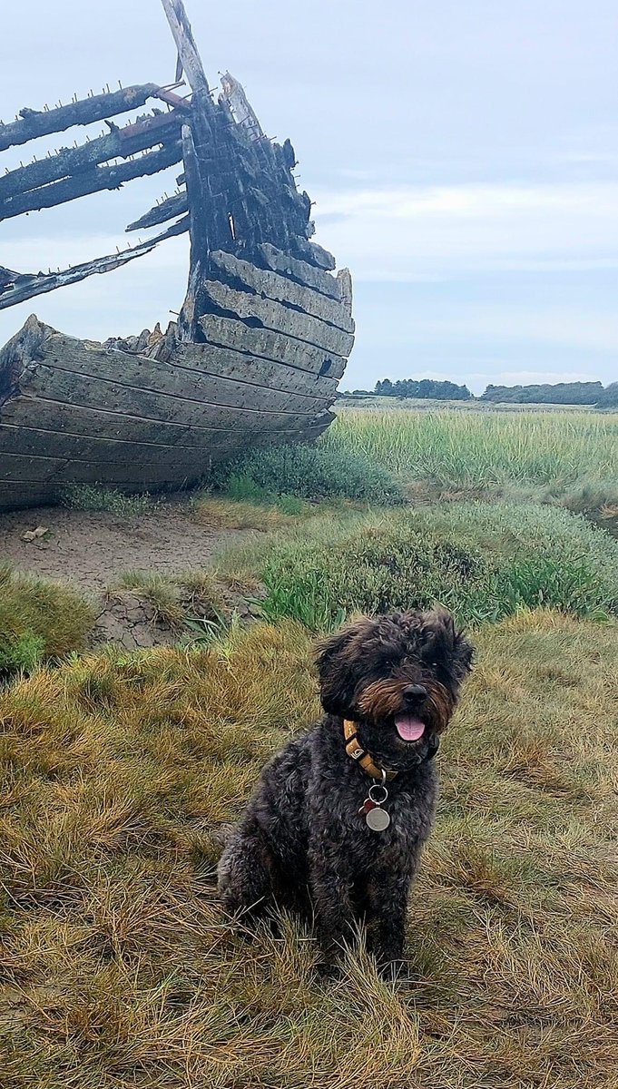 Wondering about life on a shipwreck at Fleetwood 🏴‍☠️🐕‍🦺