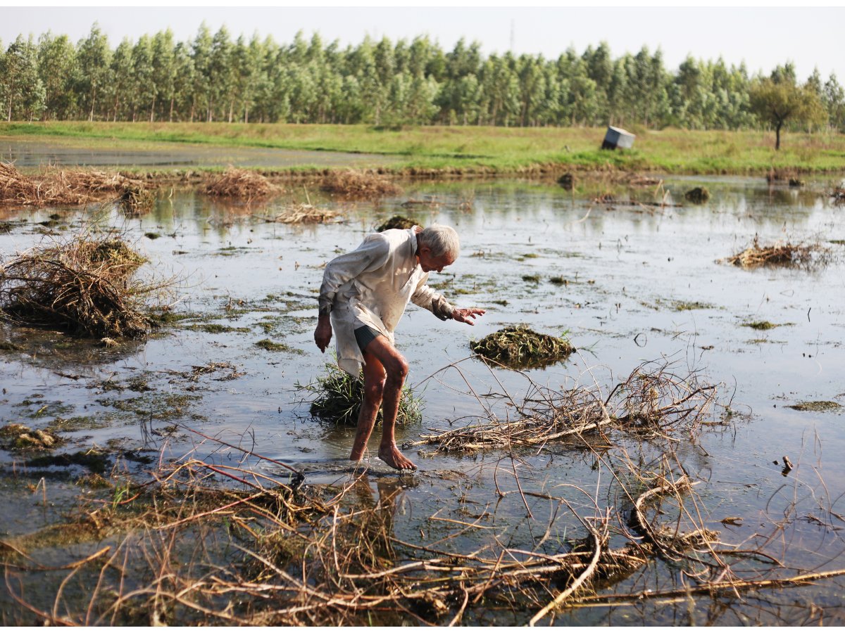 🌪️#Cyclones have been increasing, devastating India's potato belt &amp; causing losses for farmers.

👩🏿‍🌾Could #earlywarningsystems improve climate resiliency?

🌍Digital solutions have recently been discussed at #ICAE2024.

Explore more in this blog⬇️
anh-academy.org/community/blog…