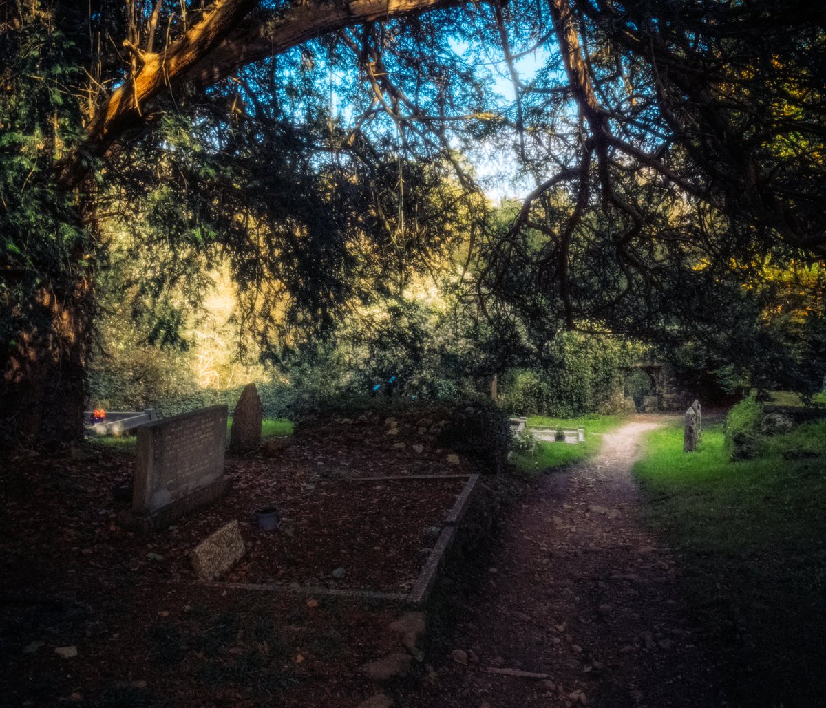 artofseanmurphy's tweet photo. The Wonders of Muckross Abbey https://t.co/qdXyrSagY9