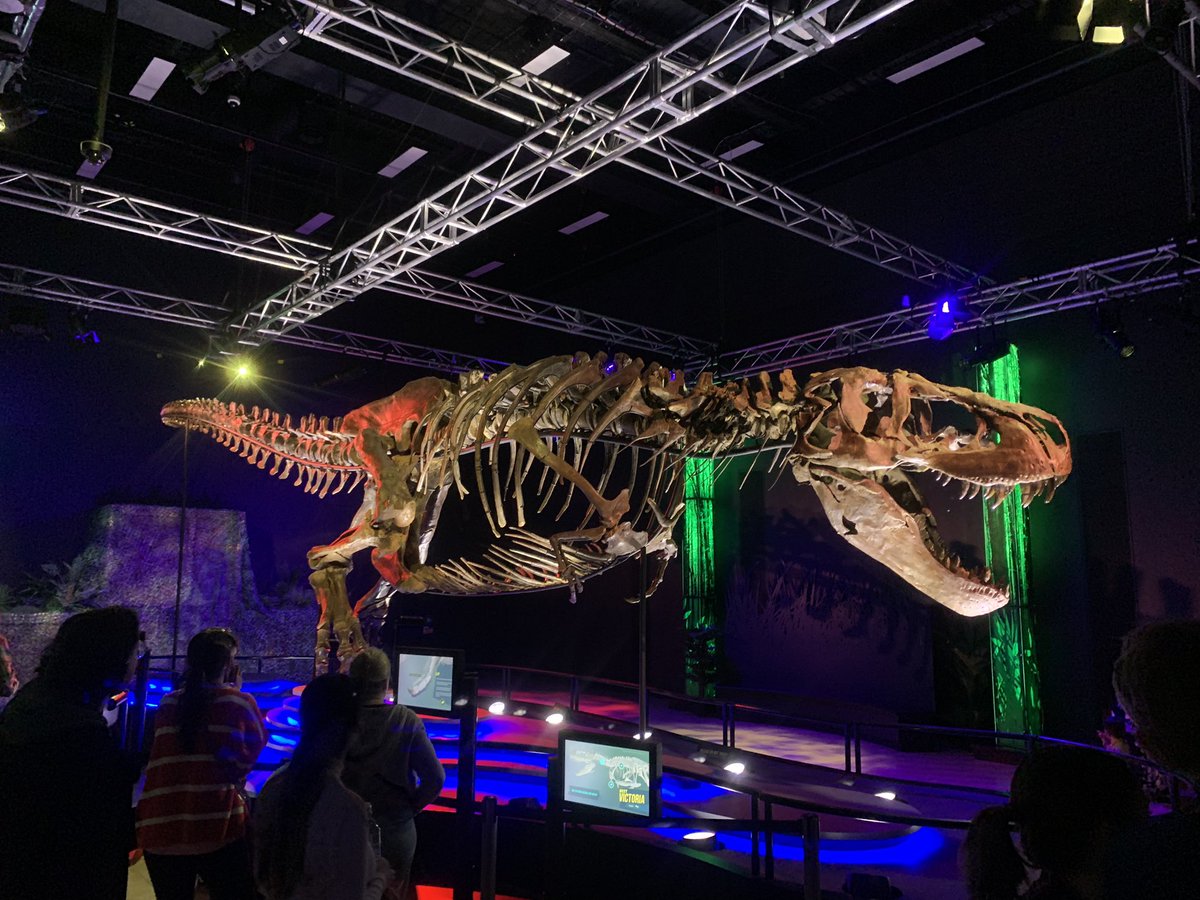 dino matian tweet media