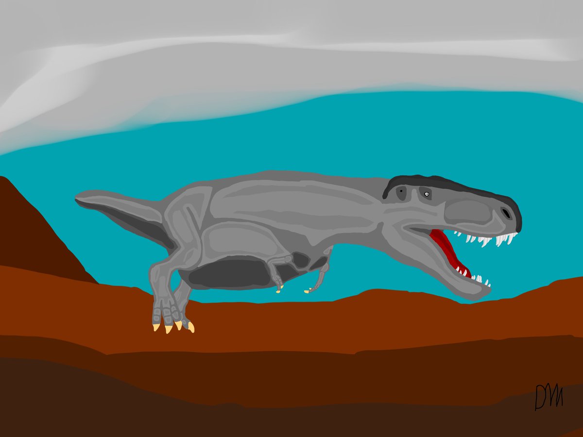 dino matian tweet media