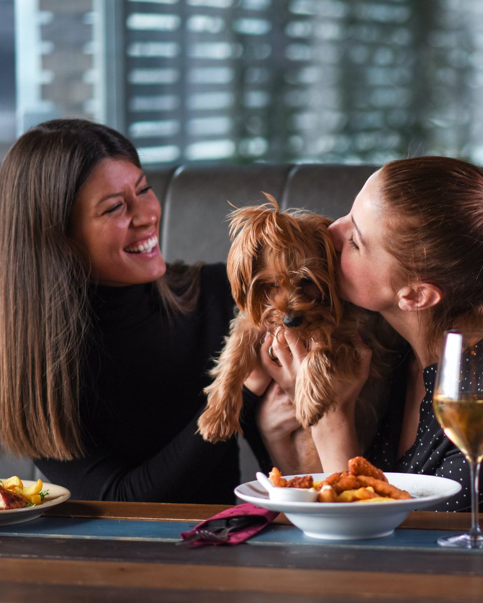 Explore Dublin with your furry friend! 🐶

7 Dog-Friendly Spots in Dublin City

#DublinDogs #PetFriendlyDublin #dogs #pet

instagram.com/p/C-Fz-mcsoRV/…