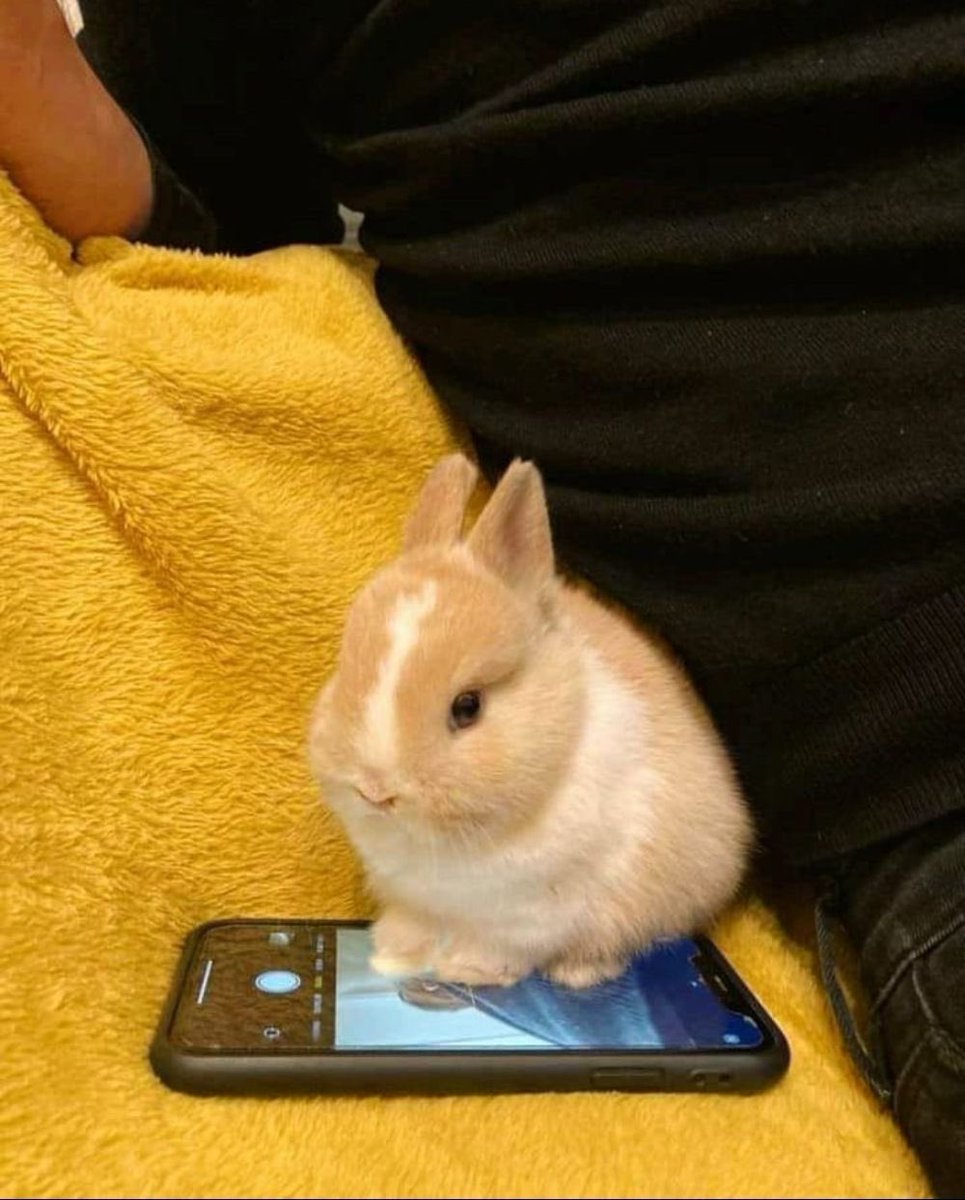 Waiting for your text