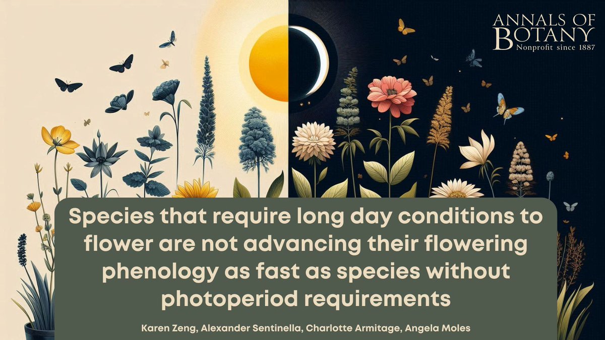 🌍 Check the newly published paper ‘Species that require long day conditions to flower are not advancing their flowering phenology as fast as species without photoperiod requirements’ in <a href="/annbot/">Annals of Botany</a> by Karen Zeng and co-authors. (1/7)

👉 botany.fyi/srd58p

#AoBpapers