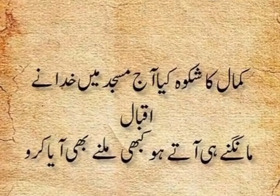 Ayaan tweet media