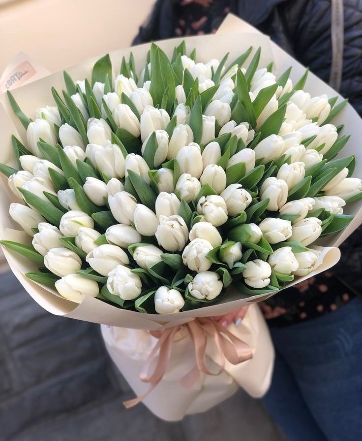 TuliipsLove's tweet photo. https://t.co/hBCyiccCBG
