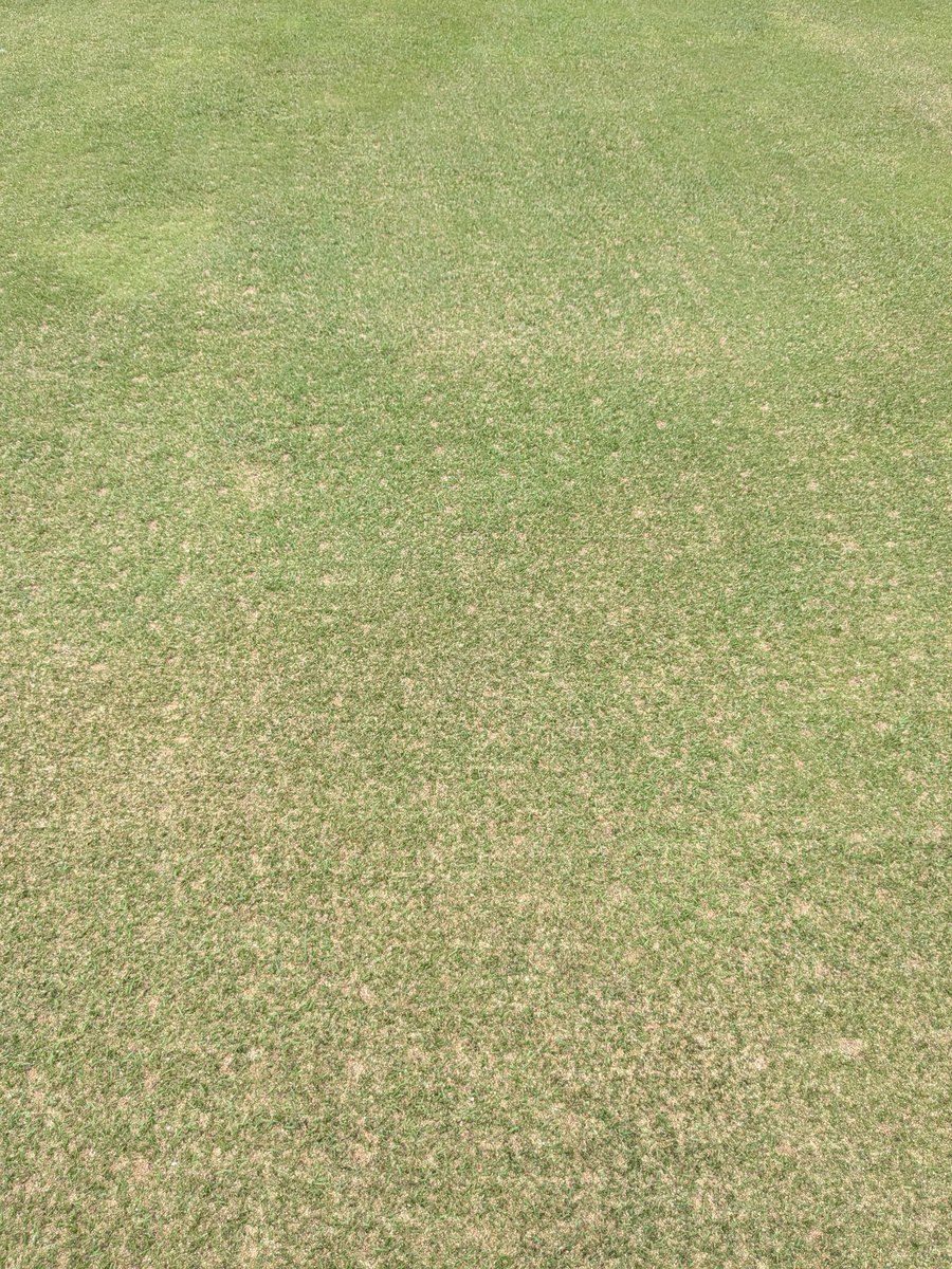 VLGC Greens tweet media