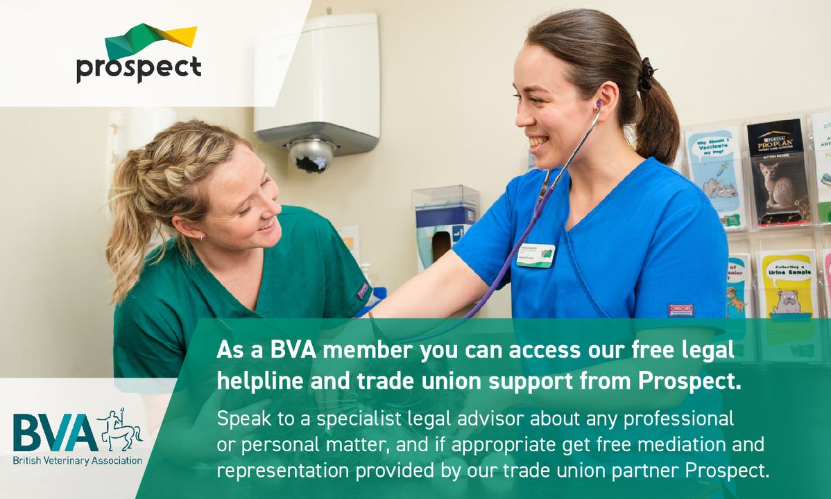 BritishVets tweet media