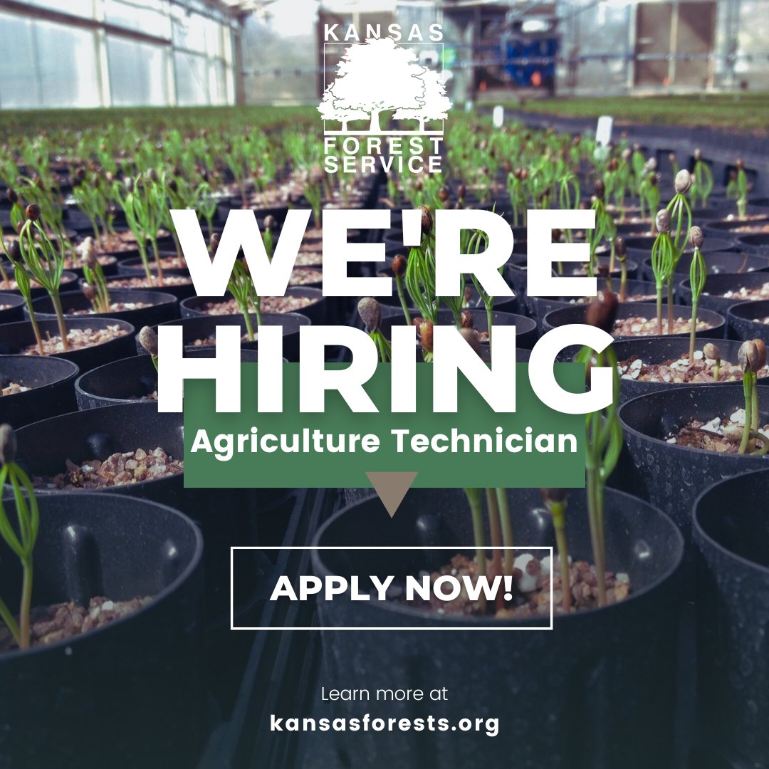 KSForestService's tweet photo. We have three full-time positions open--apply today!📣

GIS Analyst 🌍 Forest Health Coordinator 🌲 Agricultural Technician II (Conservation Tree Planting Program)🌱 

Learn more or apply: https://t.co/EE1VE4yZGi https://t.co/22HVt8NyxC