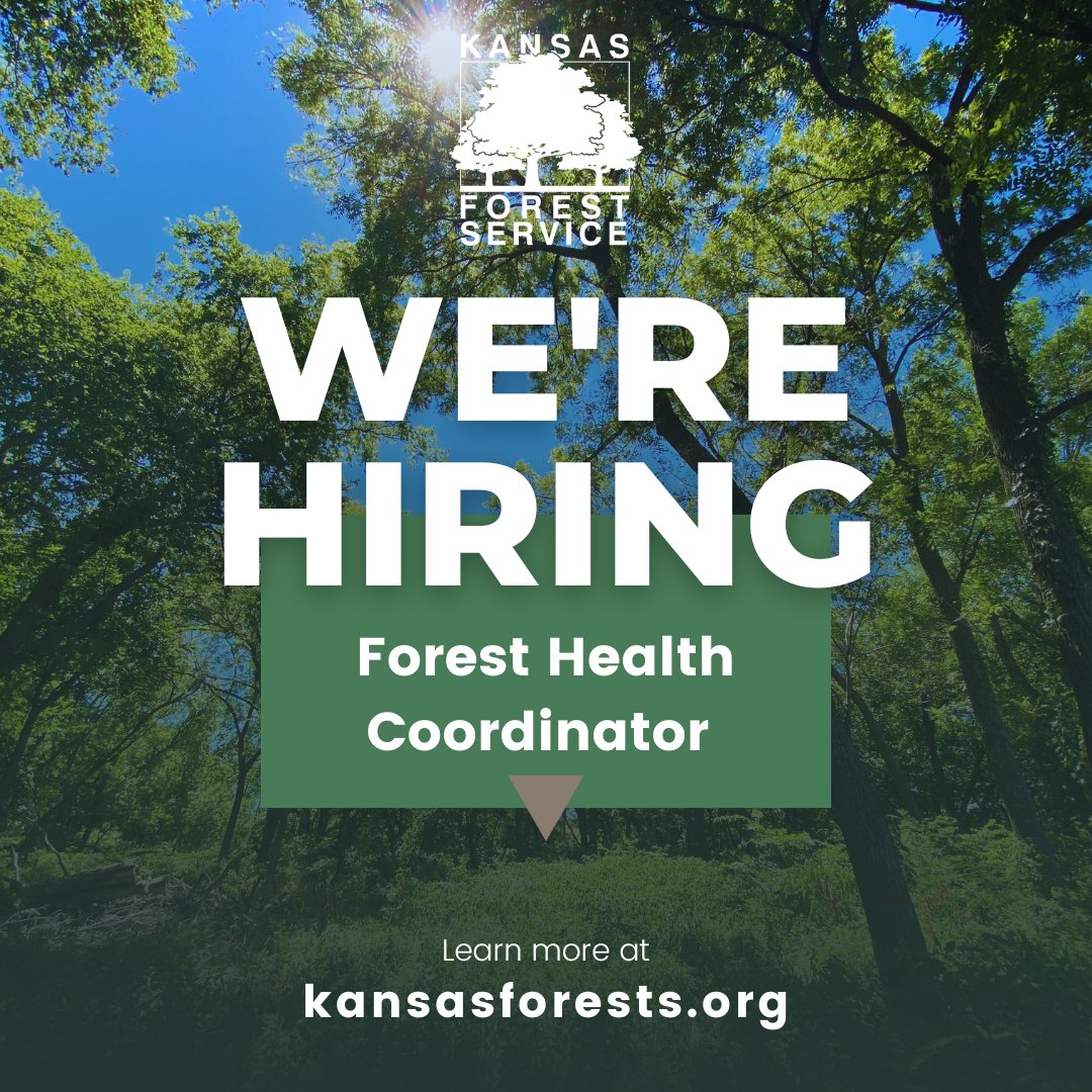 KSForestService's tweet photo. We have three full-time positions open--apply today!📣

GIS Analyst 🌍 Forest Health Coordinator 🌲 Agricultural Technician II (Conservation Tree Planting Program)🌱 

Learn more or apply: https://t.co/EE1VE4yZGi https://t.co/22HVt8NyxC