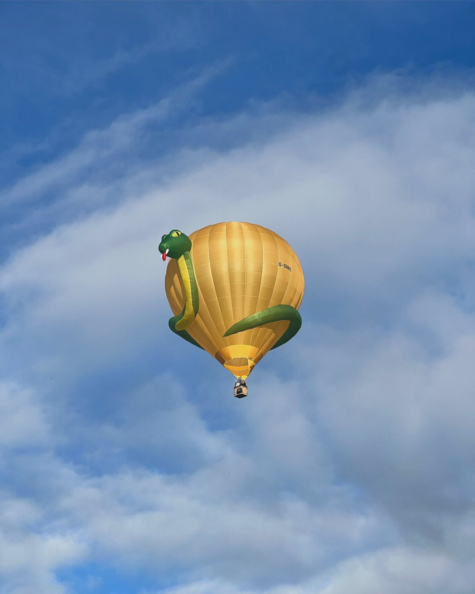 Grace Varnham tweet media