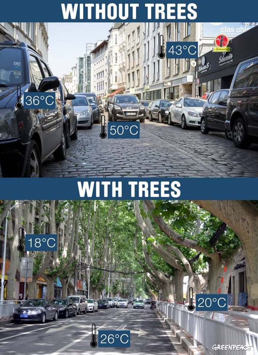 Hot today? Your city can help citizens to cope with heat by (1) lowering the number of moving- and stationary cars 🚗  and (2) introducing greenery and trees 🌳 !