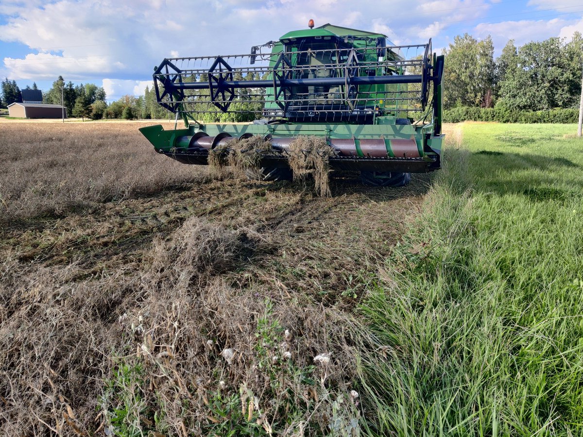 I tried to start harvest24 with peas, but its a no...