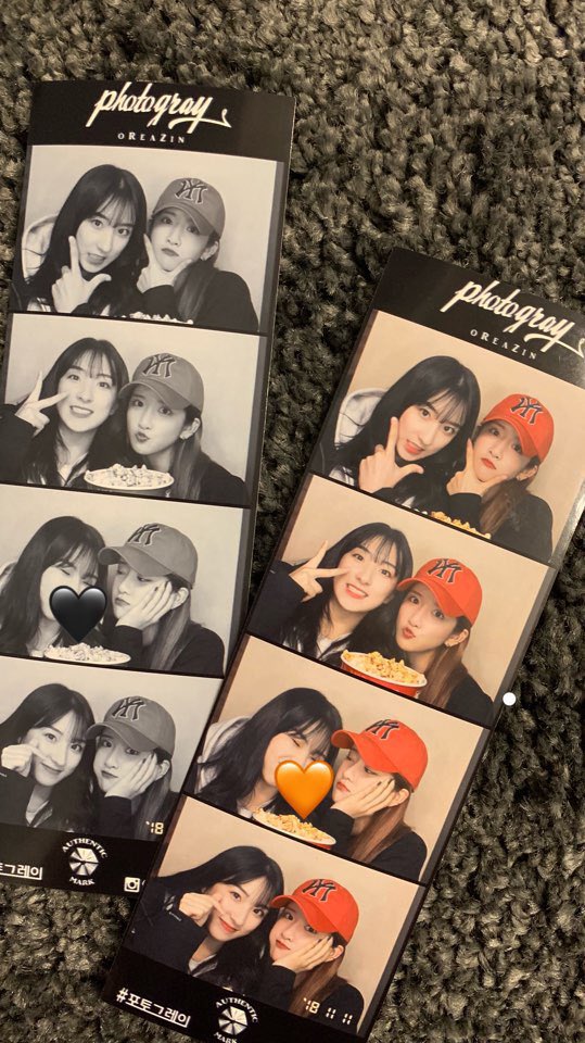 강아지들 소주네컷 평생 계속되길 🐶🐶