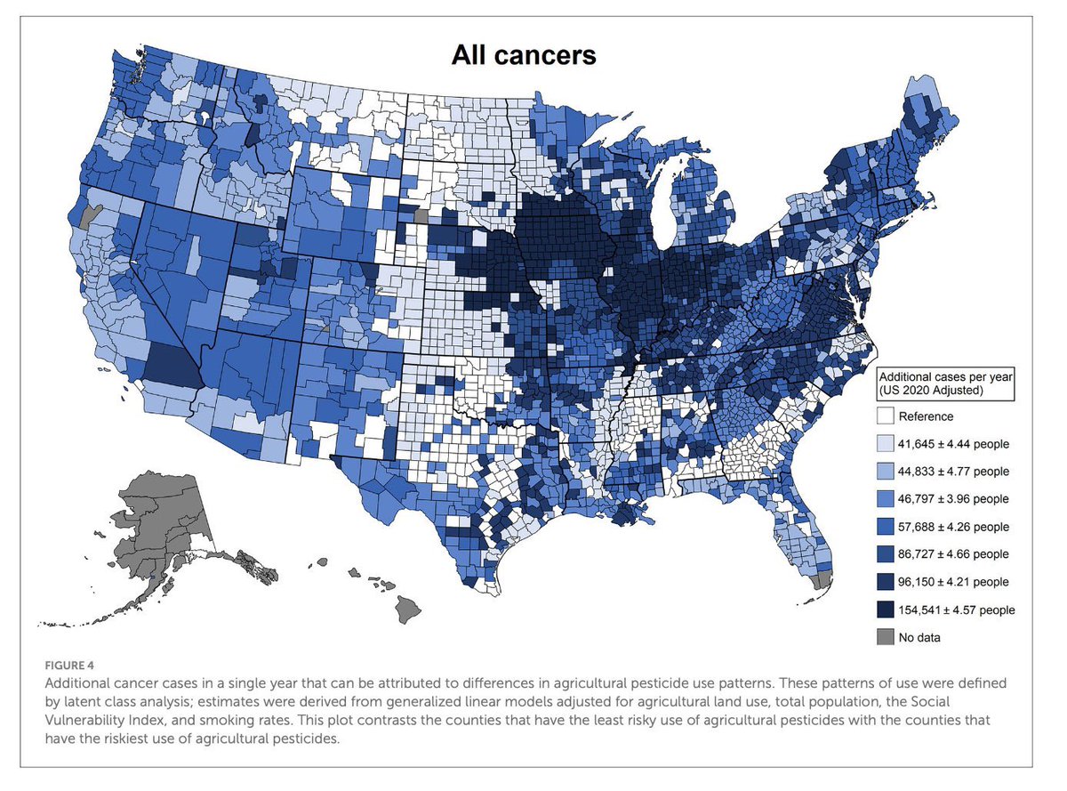 Seed Oil Disrespecter™️ tweet media