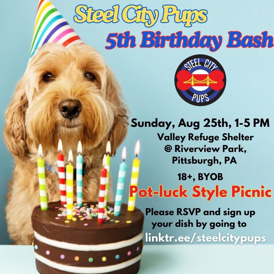 Steel City Pups tweet media