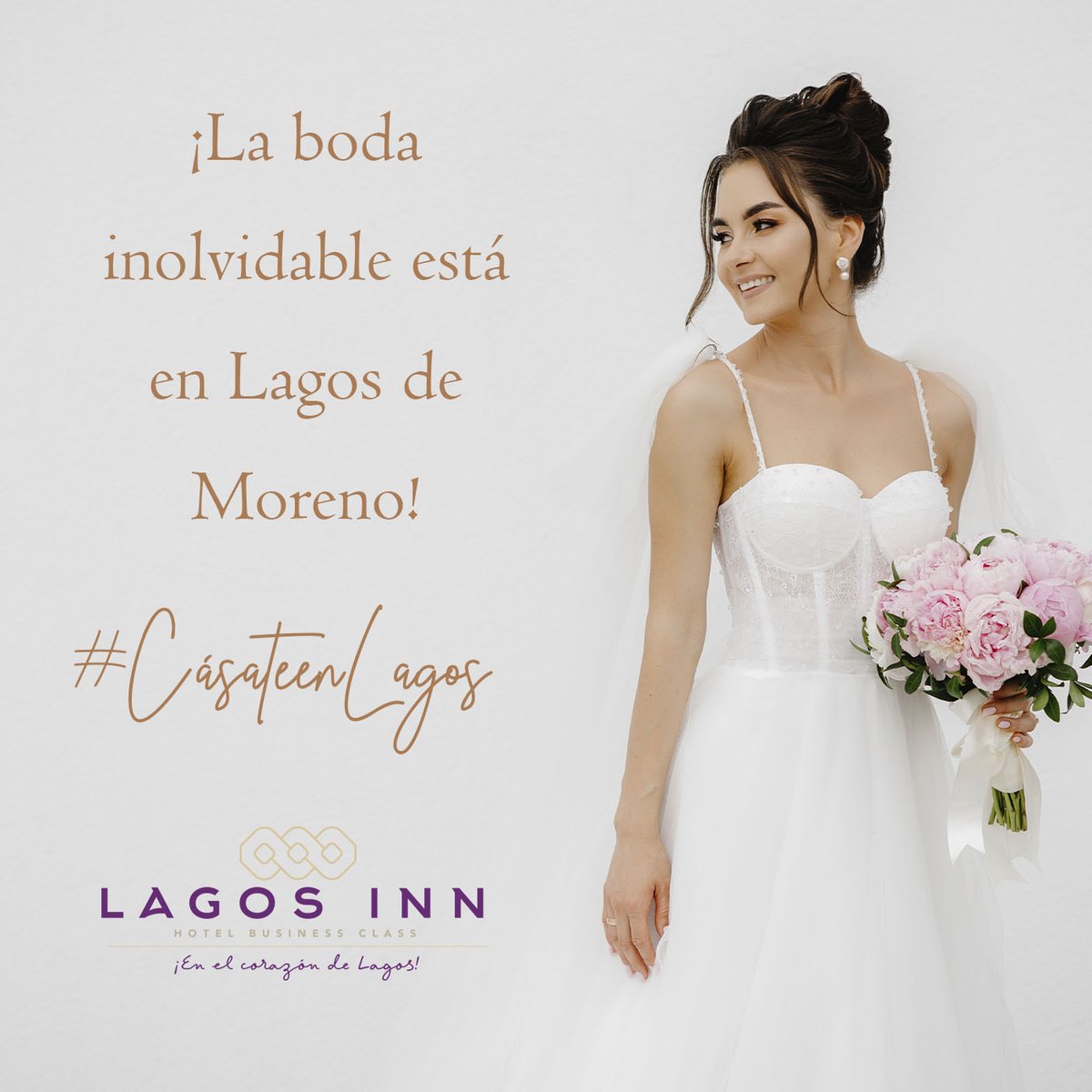 hotellagosinn's tweet photo. https://t.co/kNMRXMxC8r