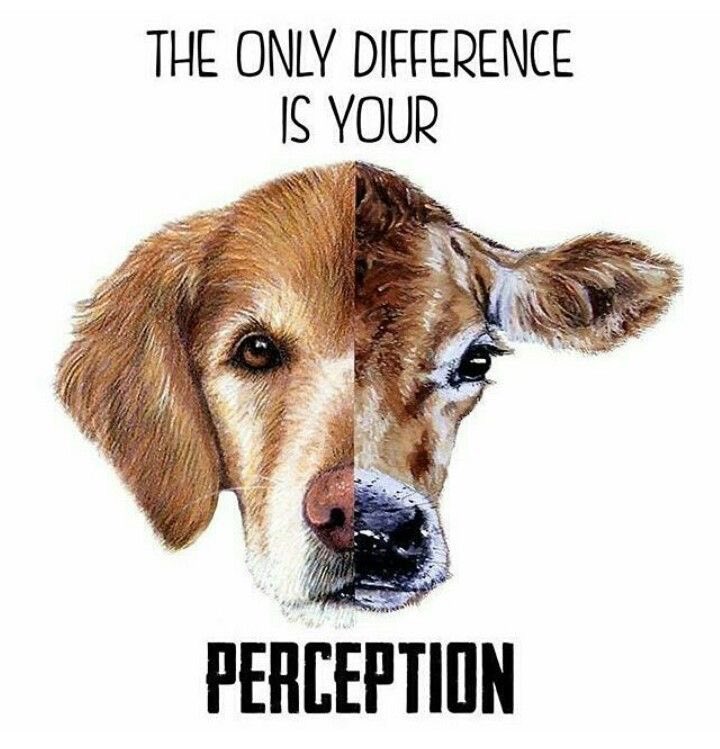 ceylan ertem 🩵 tweet media