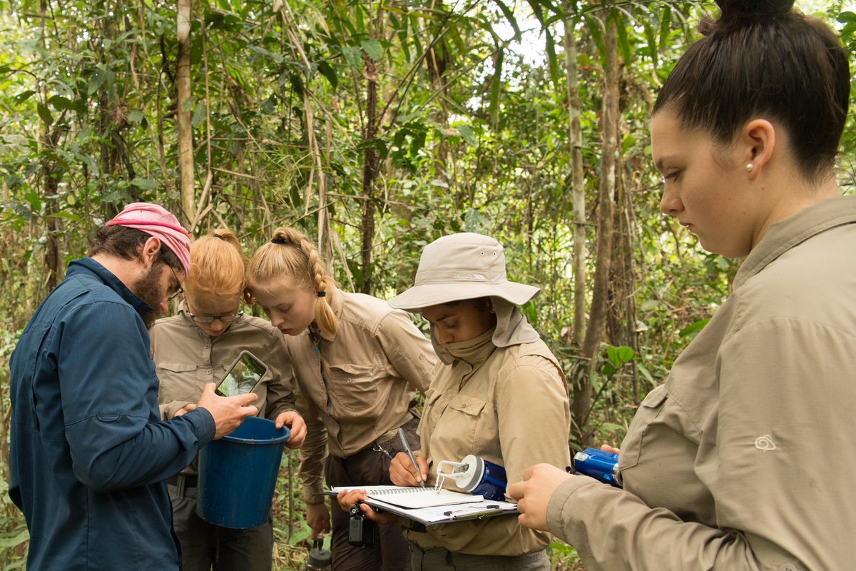 City Girl In Nature ✨aka Kwesia tweet media
