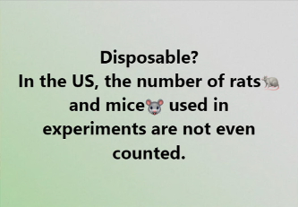 AnimalDefenders's tweet image. #animalexperiments #stopanimalexperiments #betheirvoice