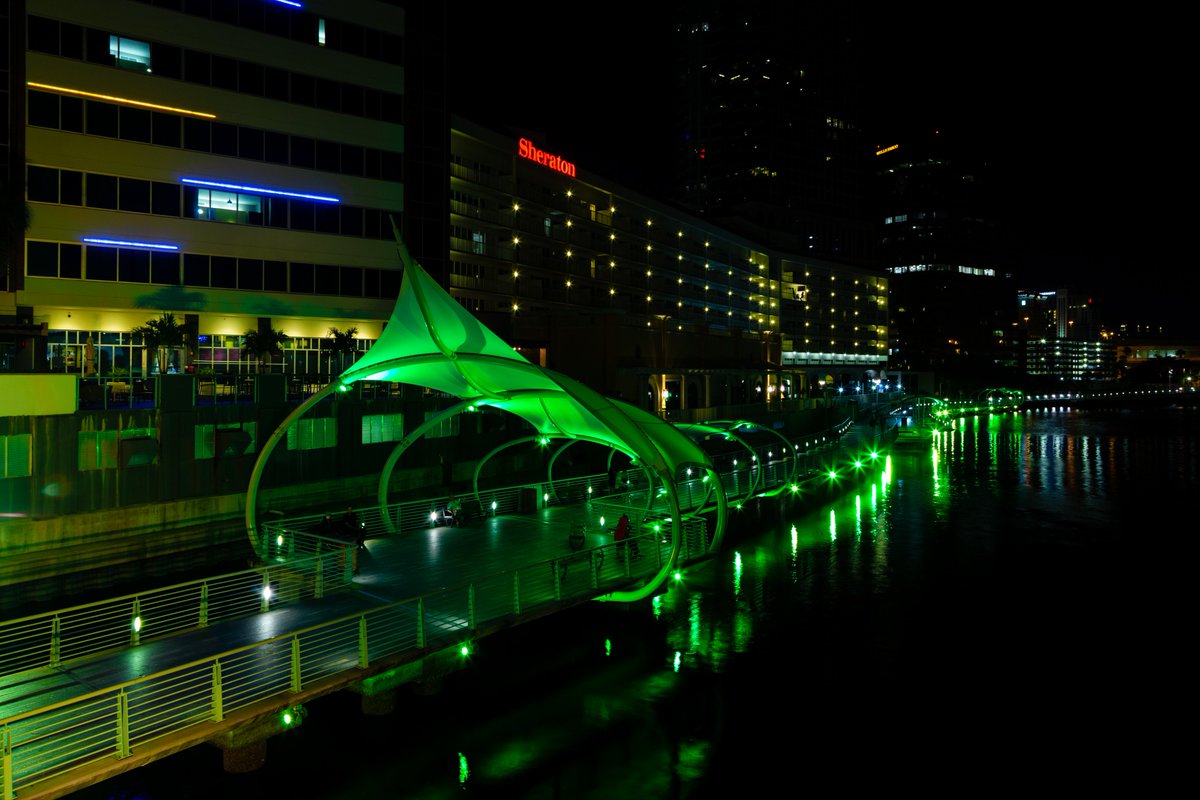 USF Baseball tweet media